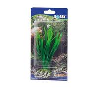 Accessoire pour aquarium Hobby Cyperus Vert 16 cm