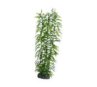 Plante d'aquarium artificielle - HOBBY - Heteranthera 34 cm - Vert - Base roche artificielle - Effet trompe-l'œil