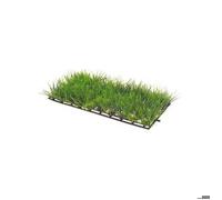 Plante d'aquarium - Hobby - Hobby 1 - Vert - Plastique - Facile à fixer