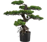 Plante de bonsaï artificiel 75 cm -déco exotique, facile d'entretien pour la maison et le bureau