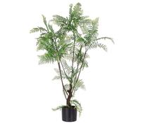 Plante de fougère C-Pot 75 feuilles H108