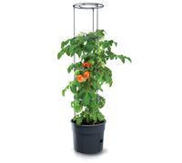 Jardinière de tomates Prosperplast Jardinière de tomates en plastique de couleur anthracite 29,5 (L) x 29,5 (l) x 23,6-115,2 (H) cm