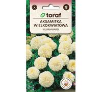Plante de velours à grandes fleurs KILIMANJARO 0.3g