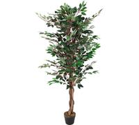 Plante déco 160 cm - Modèle : Ficus