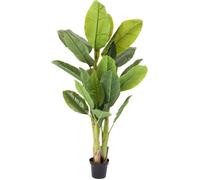Plante décorative bananier 180cm Kare Design