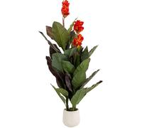 Plante décorative Canna Lily 165cm Kare Design