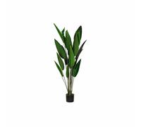 Plante décorative dkd home decor 50 x 50 x 160 cm polyéthylène vert urbain oiseau de paradis