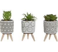 Plante décorative Home ESPRIT polyéthylène ciment 6,5 x 6,5 x 11 cm (3 pièces)
