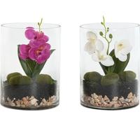 Plante décorative Home ESPRIT PVC cristal 15 x 15 x 20 cm (2 pièces)