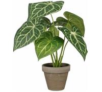 EDELMAN-Plante artificielle Caladium en pot coloris vert - diamètre 28 cm x 21 cm