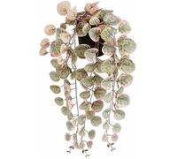 Mica Decorations Plante décorative Ceropegia Woodii 10 x 46 x 12 cm Artificielle à Suspendre