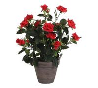 Mica Decorations Plante artificielle rosier en pot ciment - H33 x Ø25 cm - Rouge