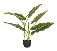 Plante Dieffenbachia C-Pot 7 feuilles H78