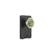 Plante d'illustration Scientifique Vintage succulente PopSockets PopWallet pour MagSafe