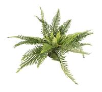 Plante d'intérieur terrarium Terra Della Vert 62x60x45 cm