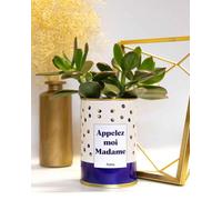 Plante drôle - Appelez-Moi Madame - Plante d'intérieur