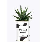 Plante drôle - on croit en toi - Plante d'intérieur