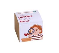 Plante et Découvre | Les Parties d’Une Fleur | Kit Éducatif STEM et Montessori | Apprenez la Botanique Étape par Étape | Expérience avec Plantes pour Enfants et Familles