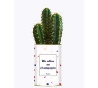 Plante Facile à Entretenir - Dis Adieu au Champagne - Plante en Pot Personnalisé