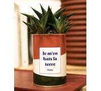 Plante Facile à Entretenir - Je m'en Bats la Terre - Plante d'intérieur