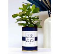 Plante Facile à Entretenir - Je Vais t'arracher Les Yeux tête de Cul