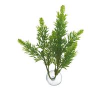 Plante feuille d'érable pour aquarium Zoomed Betta BP24 Vert TU