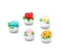 Plante Fleurie Pot Miniature, Style to 4