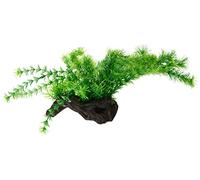 PLANTE FLORA ROOT 3L 30 cm HOBBY 51598