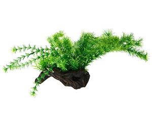 PLANTE FLORA ROOT 3L 30 cm HOBBY 51598