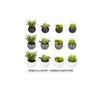 plante grasse aimant 6cm - 114759