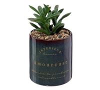 Atmosphera - Plante artificielle en pot Déco Bota 14 cm Noir G
