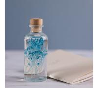 Plante immergée broom bleu turquoise h12