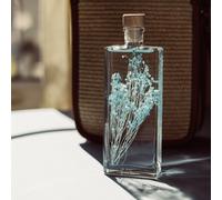 Plante immergée broom bleu turquoise h17