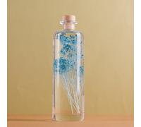 Plante immergée broom bleu turquoise h23