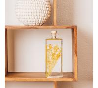 Plante immergée broom jaune h26