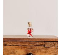 Plante immergée erable rouge h10