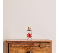 Plante immergée erable rouge h12