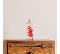 Plante immergée erable rouge h17