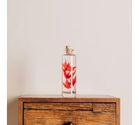 Plante immergée erable rouge h21