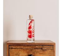 Plante immergée erable rouge h23