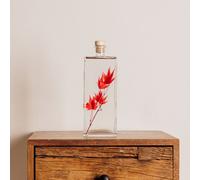 Plante immergée erable rouge h26