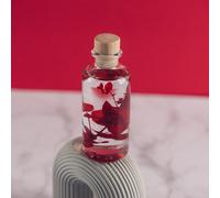 Plante immergée eucalyptus rouge h12