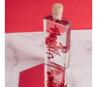 Plante immergée eucalyptus rouge h17