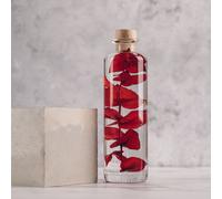 Plante immergée eucalyptus rouge h21