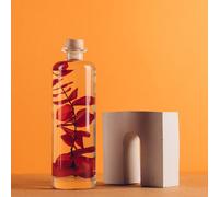 Plante immergée eucalyptus rouge h23