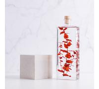 Plante immergée eucalyptus rouge h26