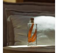 Plante immergée fougère felci rouge h17