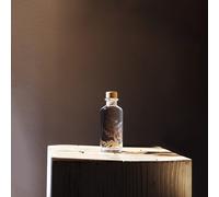 Plante immergée fougère flocon blush h12
