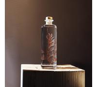 Plante immergée fougère flocon blush h23