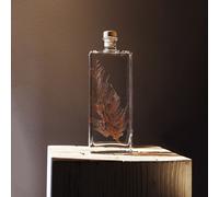 Plante immergée fougère flocon blush h26